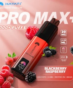 Hayati pro max plus Blackberry Raspberry 6000 puffs 2% pod kit