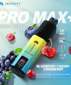 Hayati pro max plus Blueberry Cherry Cranberry 6000 puffs 2% pod kit