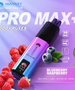 Hayati pro max plus Blueberry Raspberry 6000 puffs 2% pod kit