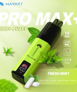 Hayati pro max plus Fresh Mint 6000 puffs 2% pod kit