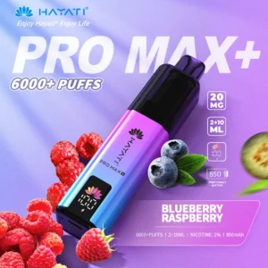 Hayati pro max plus Blueberry Raspberry 6000 puffs 2% pod kit
