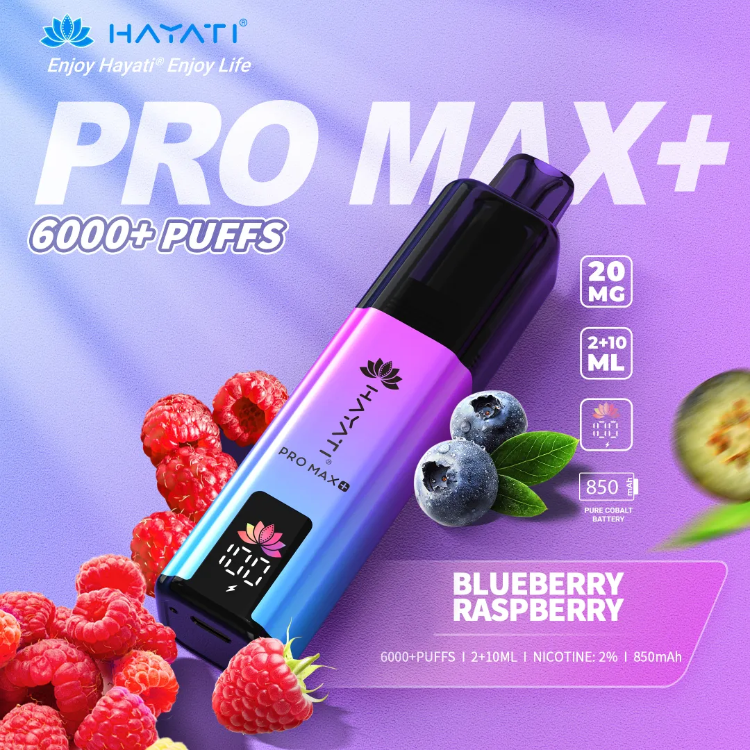Blueberry-Raspberry-Hayati-Pro-Max-plus-6000