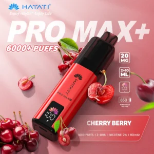 Hayati pro max plus Cherry Berry 6000 puffs 2% pod kit