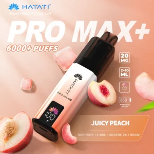Hayati pro max plus Juicy Peach 6000 puffs 2% pod kit