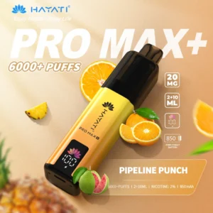 Hayati pro max plus Pipeline Punch 6000 puffs 2% pod kit