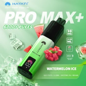 Hayati pro max plus Watermelon Ice 6000 puffs 2% pod kit
